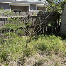Lawn-Cleanup-in-Conway-SC 8